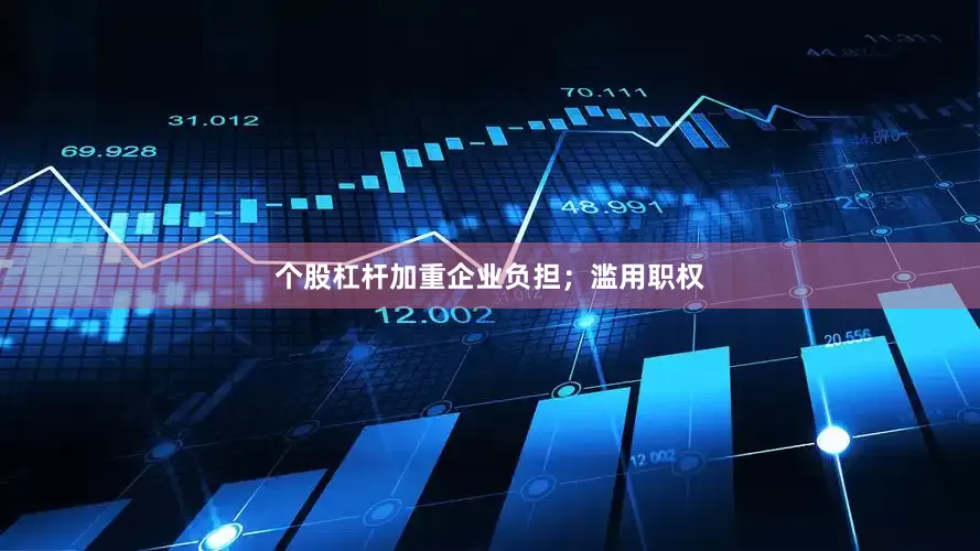 个股杠杆加重企业负担；滥用职权
