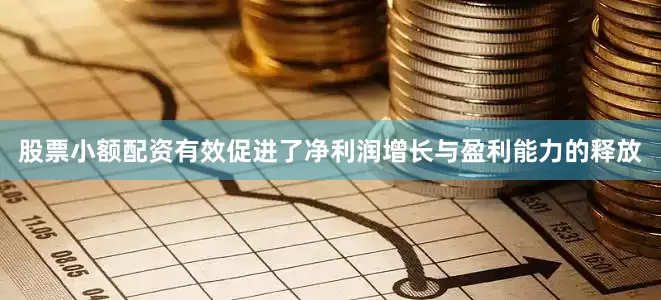 股票小额配资有效促进了净利润增长与盈利能力的释放