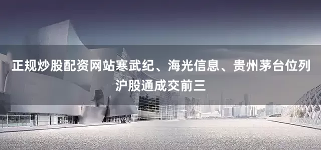 正规炒股配资网站　　寒武纪、海光信息、贵州茅台位列沪股通成交前三