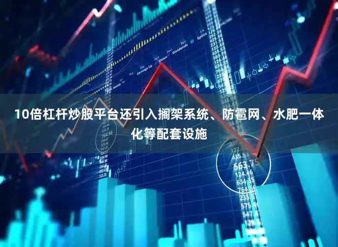 10倍杠杆炒股平台还引入搁架系统、防雹网、水肥一体化等配套设施