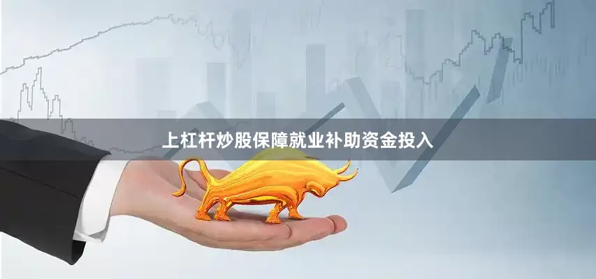 上杠杆炒股保障就业补助资金投入
